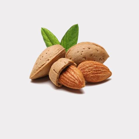 ALMONDS -2