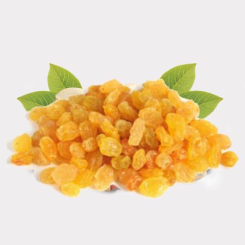 Dry Apricot - 3